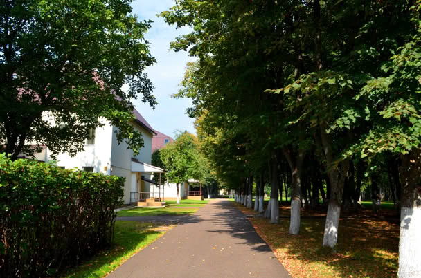Учебно-реабилитационный молодежный центр Алмаз — фото 7