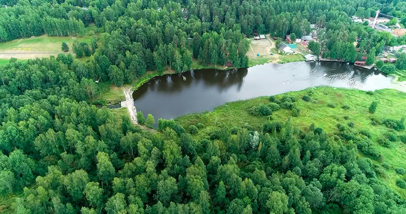Зеленый городок