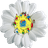 Ромашка