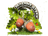Зелёные дубки