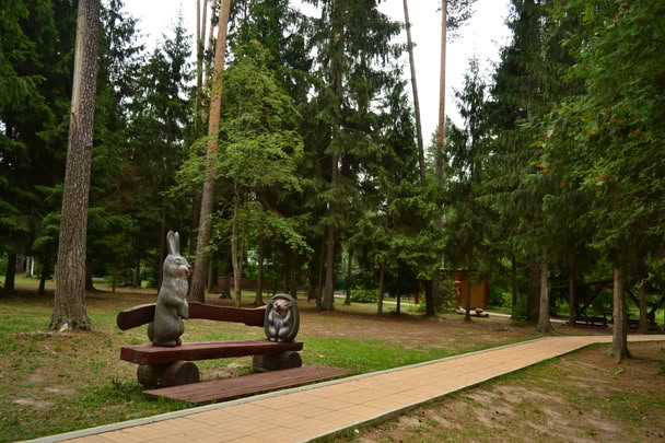 Пансионат Университетский — фото 11