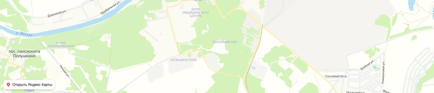 Карта: Васильевское