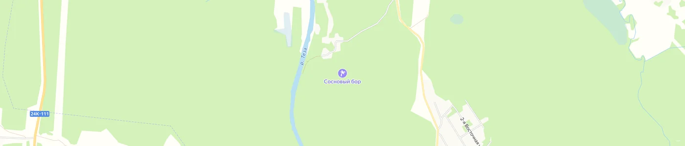 Карта: Сосновый бор