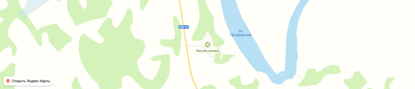 Карта: Лесная поляна