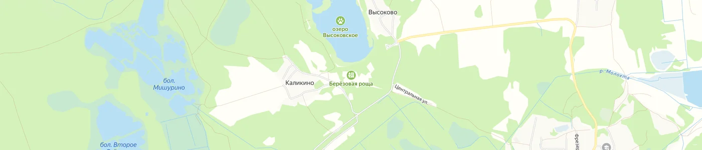 Карта: Берёзовая роща